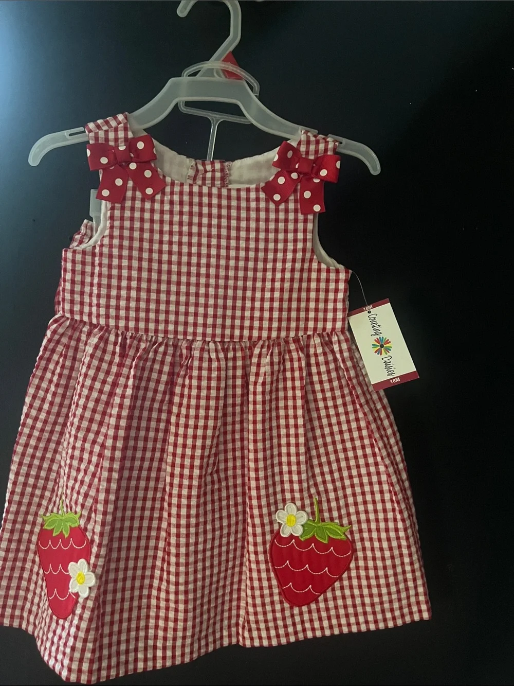 Four Kids 18M Pink Gingham & Floral Dresses